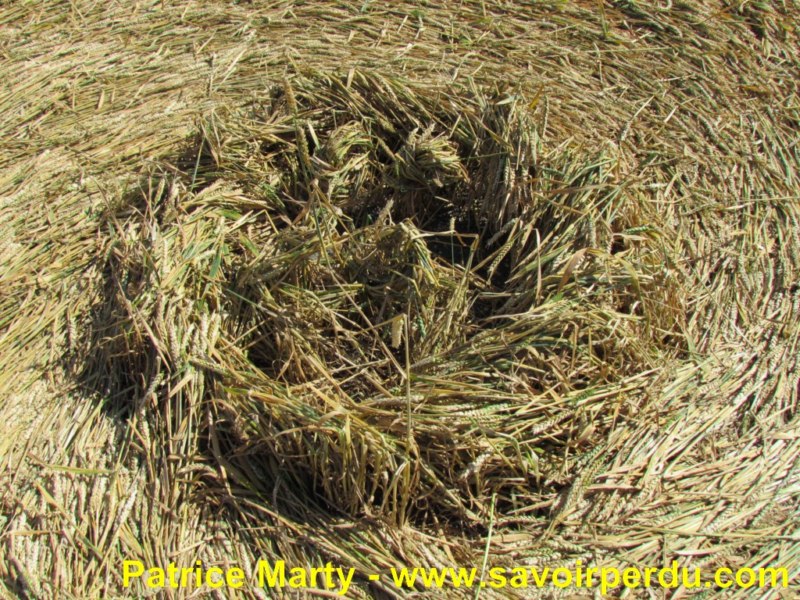 Etchilhampton (2), Wiltshire crop circle, aerial photo 52